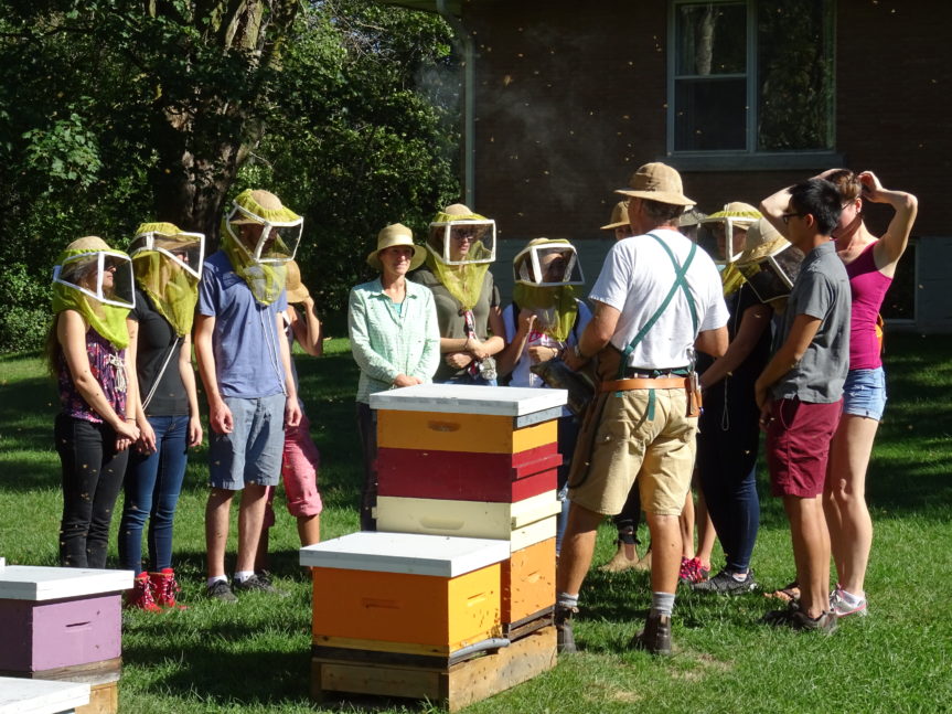 Outdoor School: Honey Bees and Catching Insects