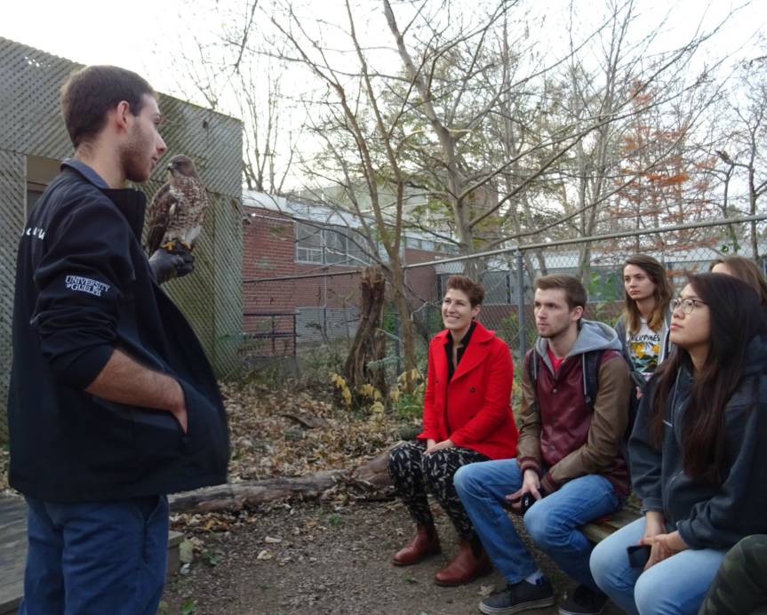 Meeting Birds of Prey at Wild Ontario!